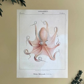 Постер. Science pictures