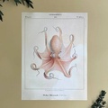 Постер. Science pictures
