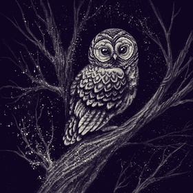 Открытка. Hochulia