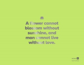 Скетчпад. Зелёный