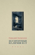 Полупрозрачный палимпсест: рассказы, эссе и заметки