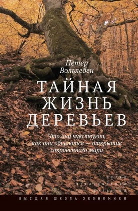Тайная жизнь деревьев