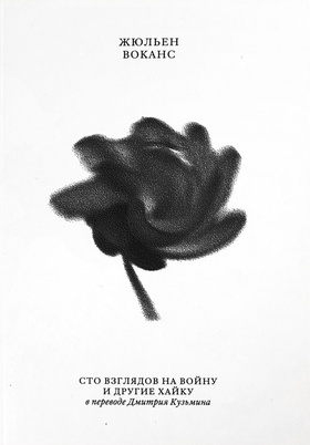 Сто взглядов на войну и другие хайку