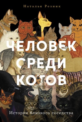Человек среди котов