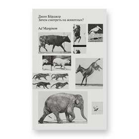 Зачем смотреть на животных?