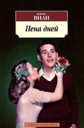 Пена дней