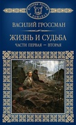 Жизнь и судьба: исторический роман