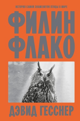 Филин Флако
