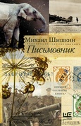 Письмовник: роман