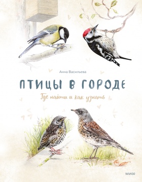 Птицы в городе. Где найти и как узнать